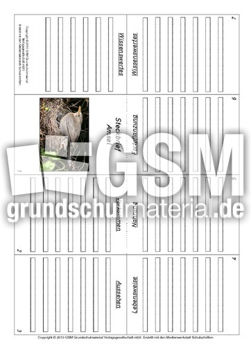 Faltbuch-Amsel.pdf